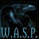 W.A.S.P.  Still Not Black Enough CD : Amazon Product Link | CFF Radio